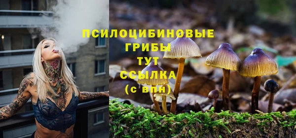 винт Бугульма