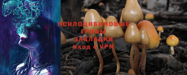 винт Бугульма